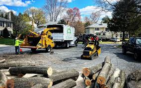 Best Utility Line Clearance  in Leitchfield, KY