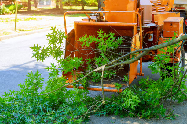 Best Lawn Irrigation Installation and Maintenance  in Leitchfield, KY