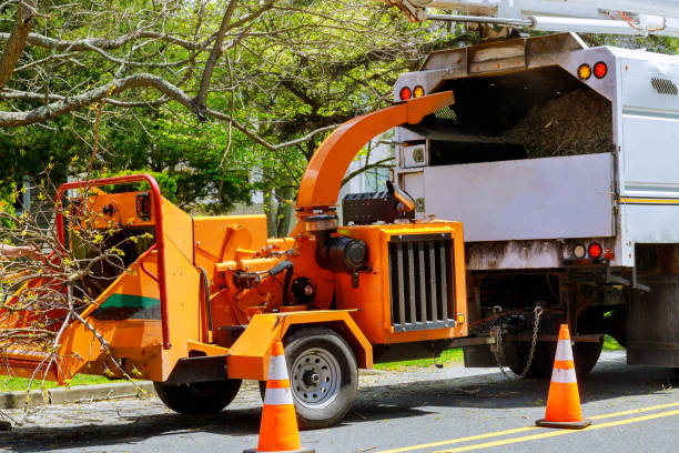 Best Arborist Consultation Services  in Leitchfield, KY