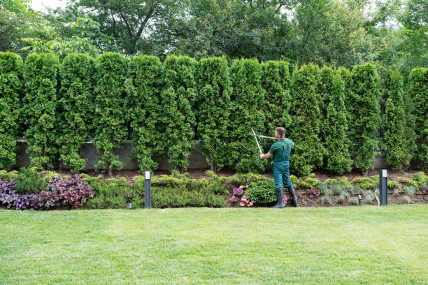 Best Tree Health Inspection  in Leitchfield, KY