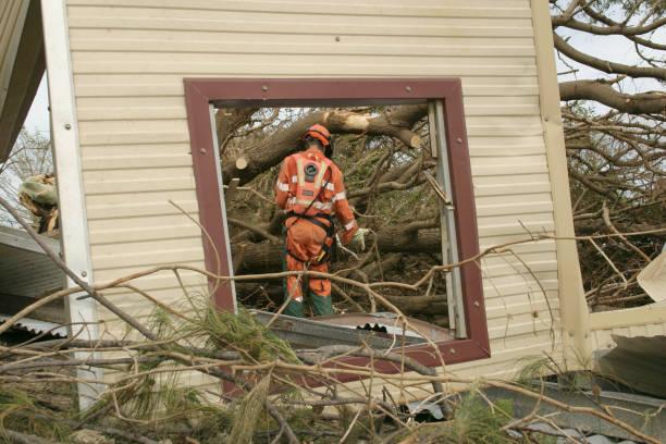 Best Tree Trimming and Pruning  in Leitchfield, KY
