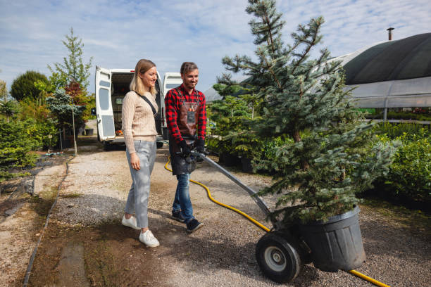 Best Tree Fertilization  in Leitchfield, KY
