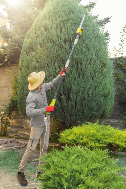 Best Tree Preservation Services  in Leitchfield, KY